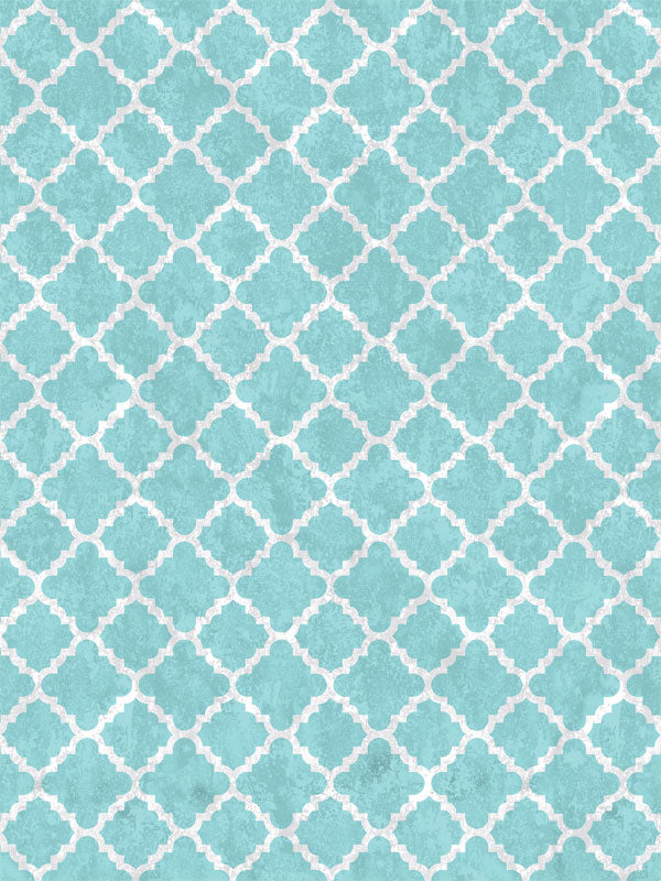 Turquoise Lattice Moroccan Photography Backdrop - Turquoise lattice Moroccan-inspired photography backdrop, ideal for professional photoshoots, with a modern geometric design.