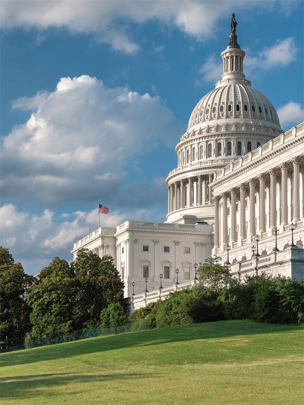 Capitol Skyline Printed Photography Backdrop - Denny Manufacturing