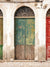 Vintage Distressed Door Photography Backdrop - Vintage distressed door photography backdrop featuring a weathered green door with rustic stone and wood, ideal for editorial and portrait photography.