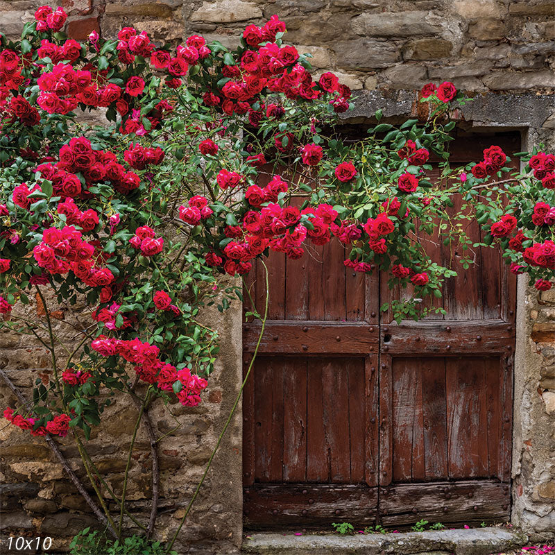Vintage rosewood door photography backdrop featuring a weathered wooden entrance covered in red climbing roses for a romantic, old-world charm.