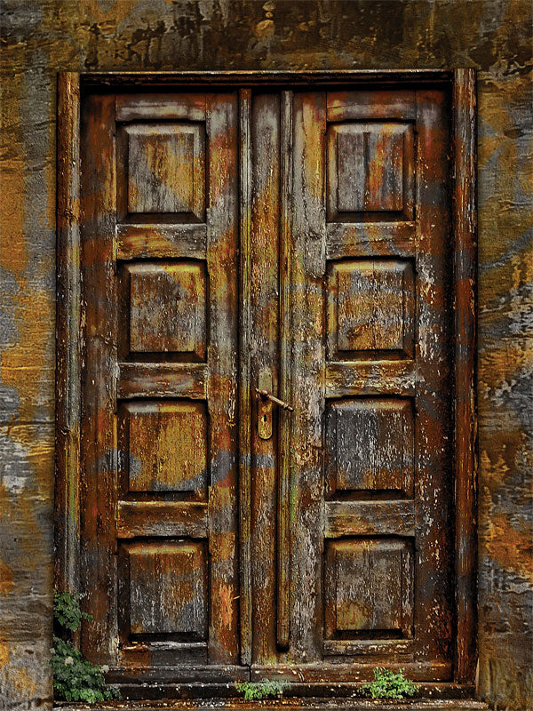Rustic wooden double doors with a weathered finish and moss accents, offering a vintage charm for professional photography setups.