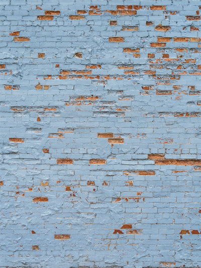 Weathered Blue Brick Photography Backdrop - Weathered blue brick wall photography backdrop with distressed red brick, perfect for urban and industrial-themed photoshoots.