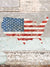 Weathered USA Flag Map Photography Backdrop - Weathered USA flag map painted on a cracked wall backdrop, perfect for patriotic and Americana-themed photography.