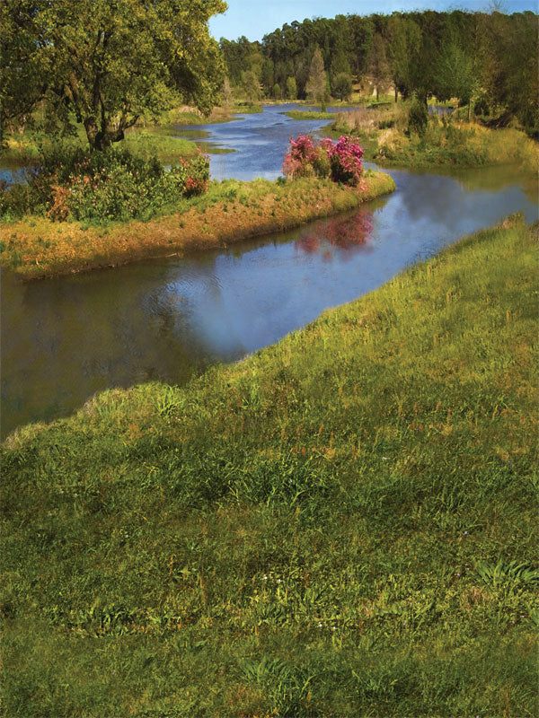 A lush riverside landscape with tall grass, blooming flowers, and a softly flowing stream.