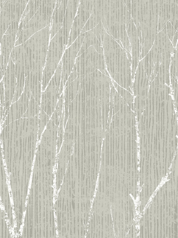 Winter Birch Forest Photography Backdrop - Winter birch tree forest photography backdrop featuring soft white trees on a light grey background, perfect for nature-inspired photoshoots.