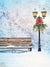 Winter Park Bench and Lantern Photography Backdrop - Photography backdrop featuring a serene winter park scene with a rustic bench and a vintage lantern adorned with a festive wreath amidst snow-covered trees.