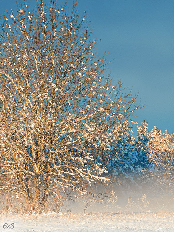 Winter Wonderland Photography Backdrop - Photography backdrop featuring a serene winter scene with a snow-covered tree against a clear blue sky.