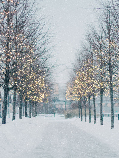 Winter Wonderland Tree-Lined Path Photography Backdrop - Winter wonderland backdrop featuring a snow-covered path lined with trees adorned with twinkling fairy lights, perfect for holiday photoshoots.