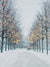 Winter Wonderland Tree-Lined Path Photography Backdrop - Winter wonderland backdrop featuring a snow-covered path lined with trees adorned with twinkling fairy lights, perfect for holiday photoshoots.