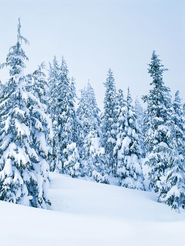 A breathtaking winter photography backdrop featuring a snow-covered pine forest, perfect for holiday portraits and seasonal photography shoots.