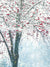 Winterberry Snowy Tree Photography Backdrop - Photography backdrop featuring a snow-covered tree with vibrant red berries against a soft, snowy background.