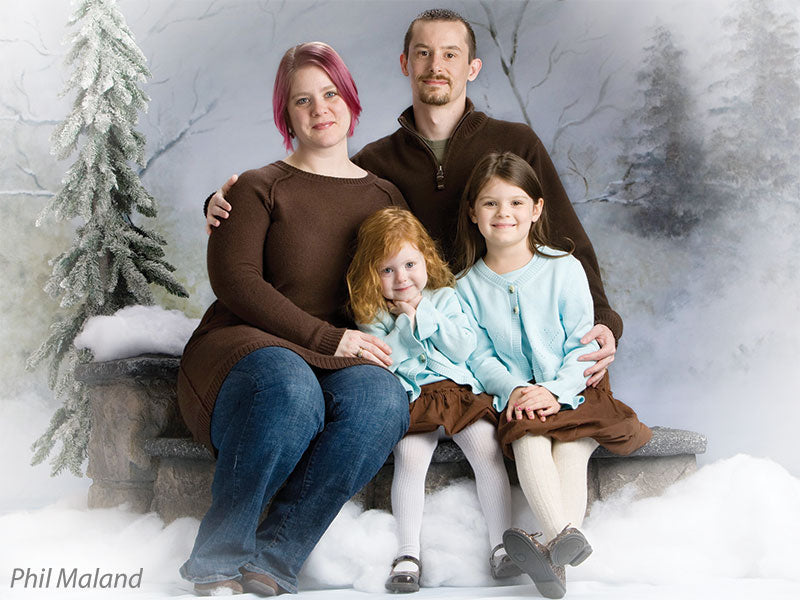 Hand-painted winter setting with a calm, misty ambiance and woodland backdrop.