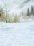 Gentle snow-covered landscape with bare trees and soft frosted forest in the background.