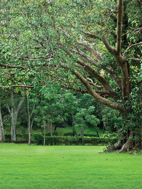 Woodland Garden Photography Backdrop - Photography backdrop featuring a lush green garden with trees, perfect for studio or outdoor-themed photoshoots.