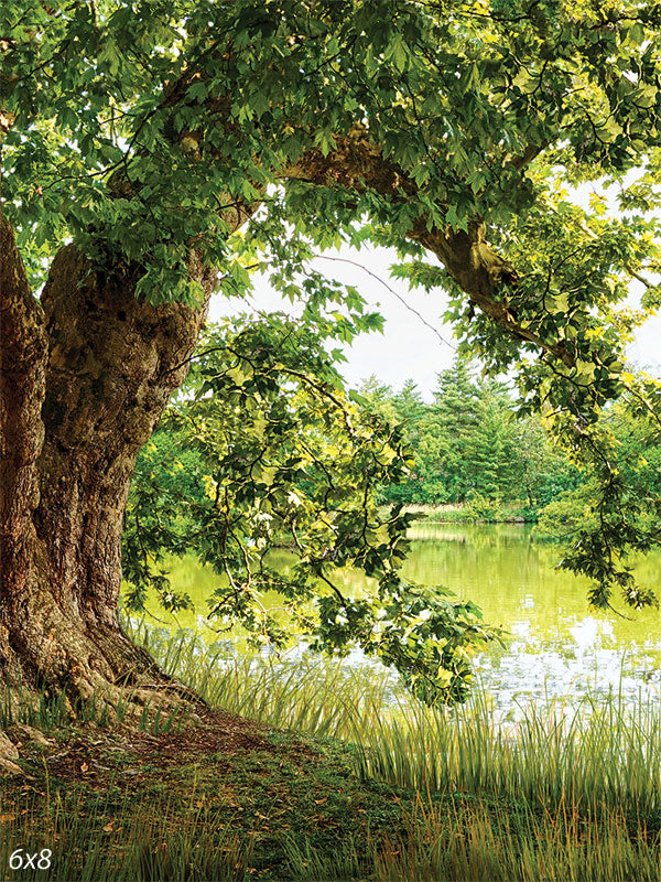 Woodland Serenity Photography Backdrop - Photography backdrop of a large tree arching over a peaceful pond, perfect for outdoor or nature-themed photography.