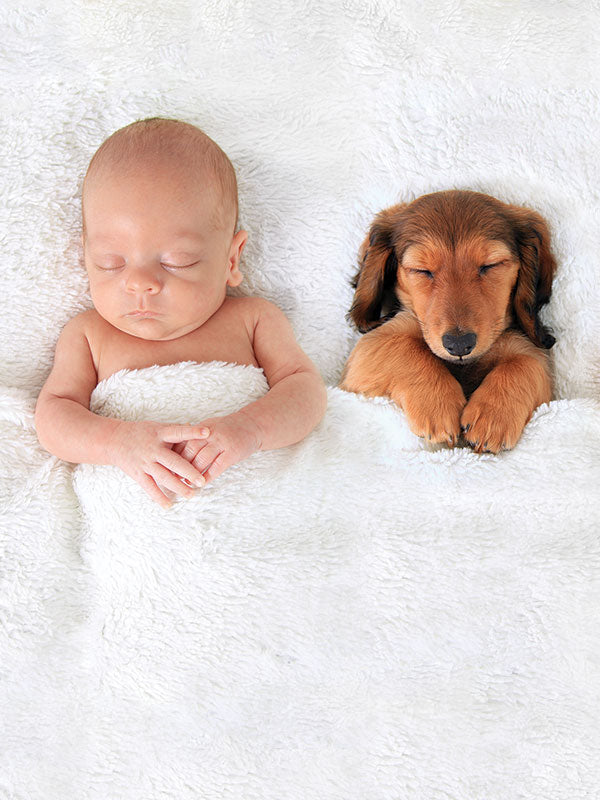 Baby Fur Blanket Photography Prop
