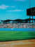 Baseball Photography Backdrop