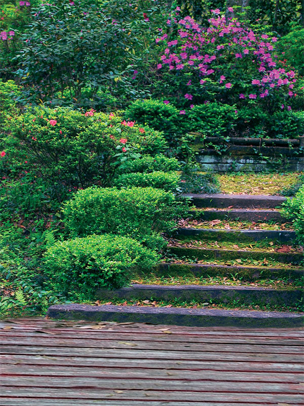 Garden Walk Printed Photography Backdrop