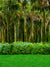 Paradise Palm Printed Photography Backdrop