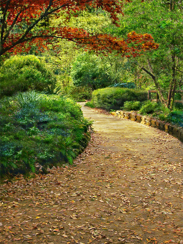 Autumn Path Photography Backdrop
