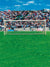 Crowded Goal Printed Photography Backdrop