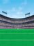 Football Stadium Printed Photography Backdrop