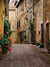 Naples Alley Printed Photography Backdrop