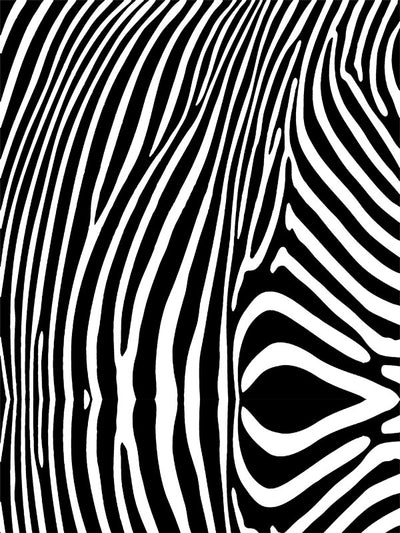 Zebra Printed Photo Backdrop