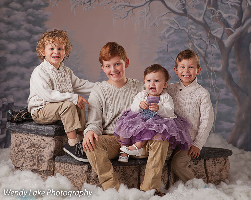 Country Winter Printed Photography Backdrop