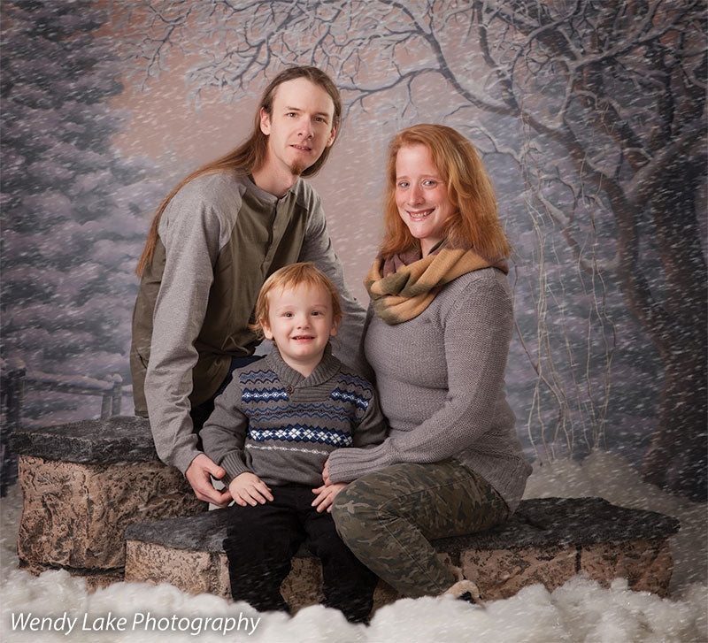 Country Winter Printed Photography Backdrop