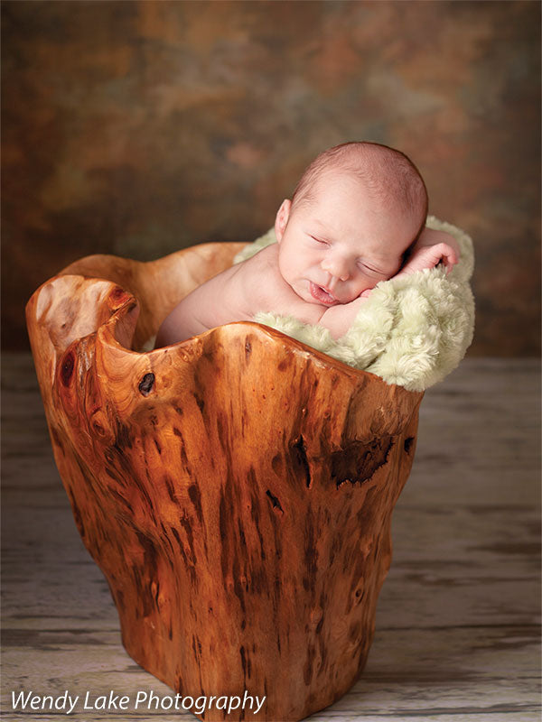 Brown Photography backdrop - Churchill