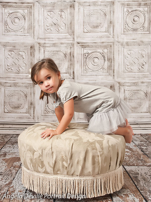 Pale Victorian Printed Photography Backdrop