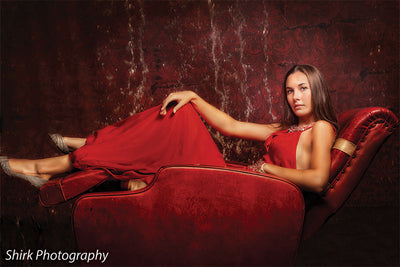 Estella Red Damask Printed Photography Backdrop