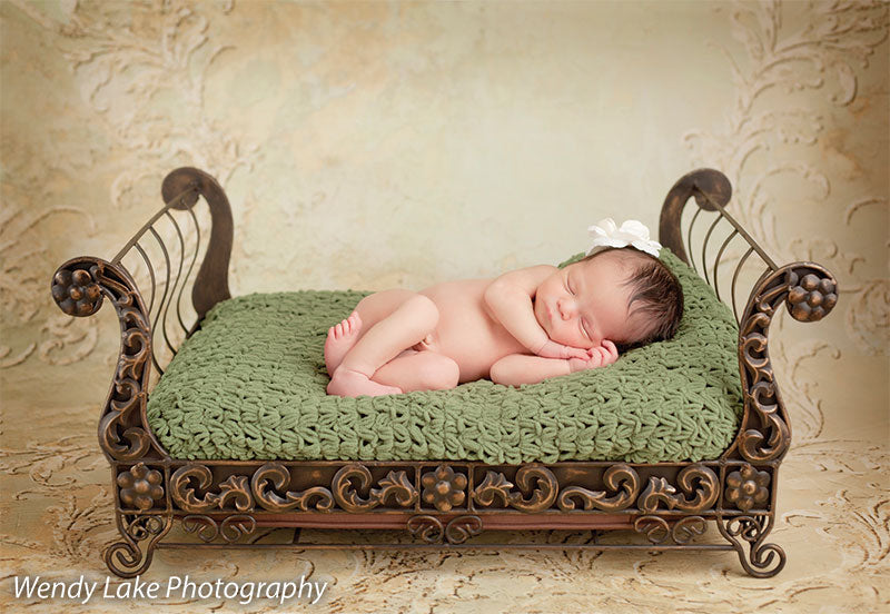 Genevieve Cream & Sage Printed Photography Backdrop