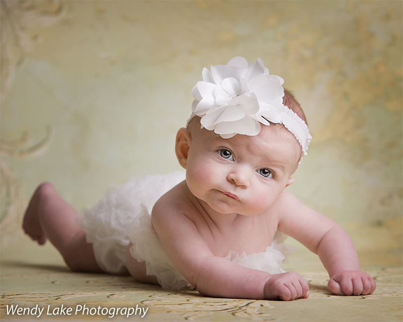 Genevieve Cream & Sage Printed Photography Backdrop