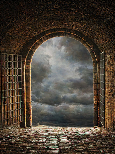 Storm Gate Printed Photography Backdrop