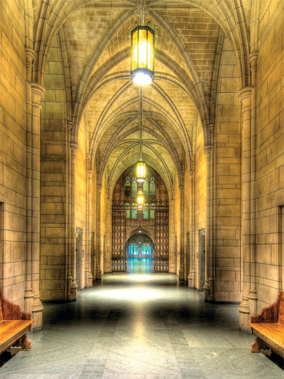 Cathedral of Learning Printed Photography Backdrop