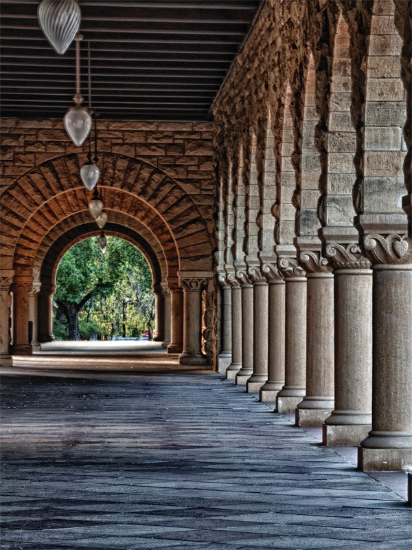 Stanford Printed Photography Backdrop