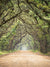 Dusty Road Printed Photo Backdrop