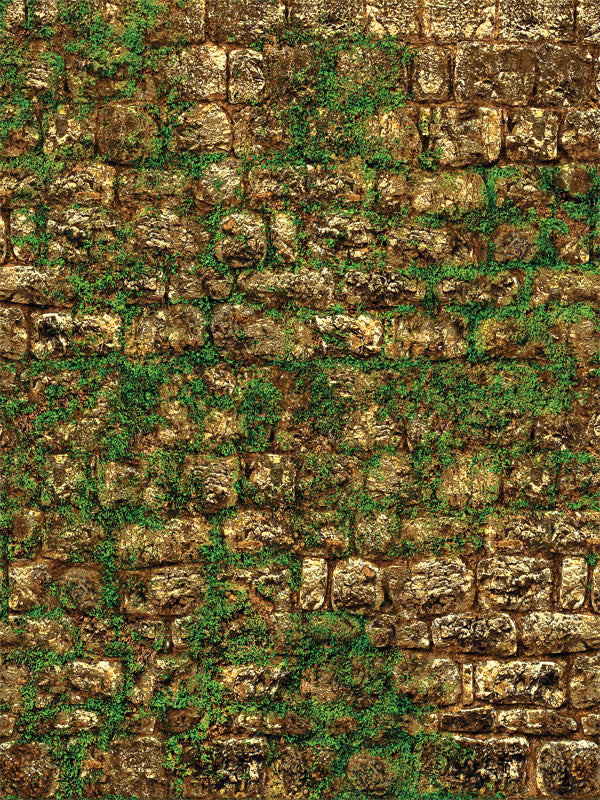 Mossy Stone Brown Printed Photography Backdrop