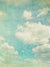 Daydreams Cloud Printed Photography Backdrop