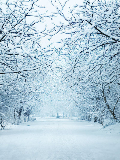 Snowy Lane Printed Photo Backdrop