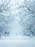 Snowy Lane Printed Photo Backdrop