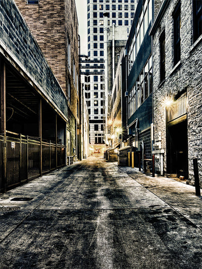 Austin Alley Printed Photography Backdrop