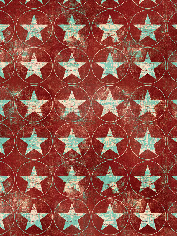 Rustic Stars Printed Photography Backdrop