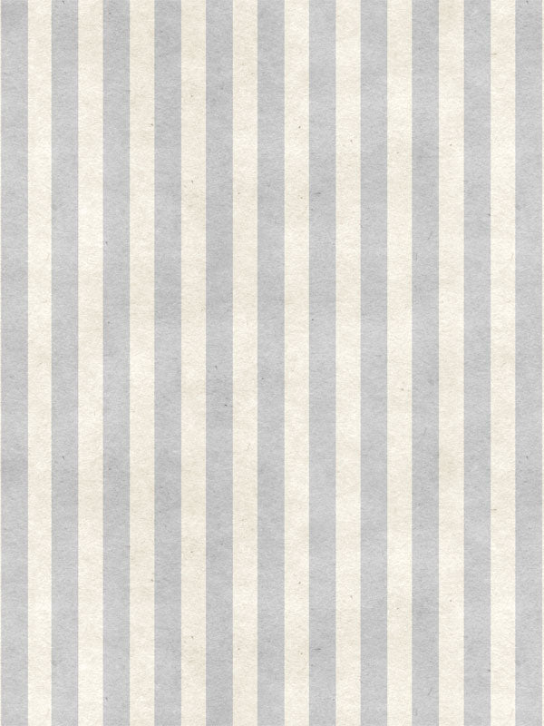 Gray Stripe Printed Photography Backdrop