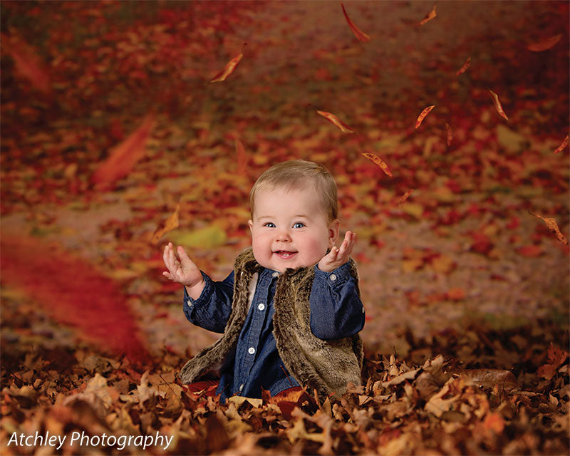 Fall Trail Printed Photography Backdrop