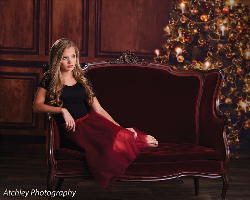 Elegant Christmas Photography Backdrop
