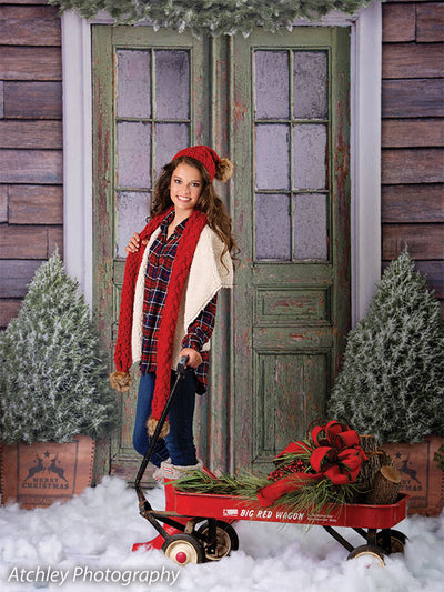 Christmas Front Door Printed Photography Backdrop