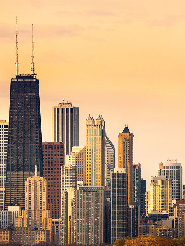 Detroit Skyline Backdrop – Backdrop City